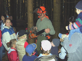 Erfahrungen im Wald